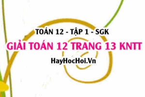 Giải Toán 12 trang 13 tập 1 Kết nối tri thức